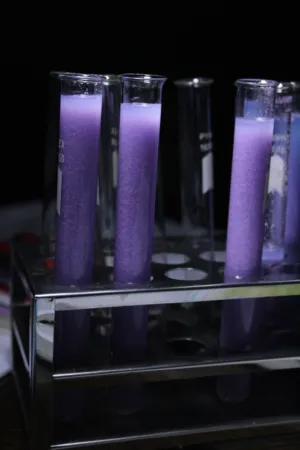 Purple Chemicals In Test Tubes