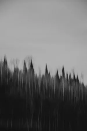 Blurred Trees