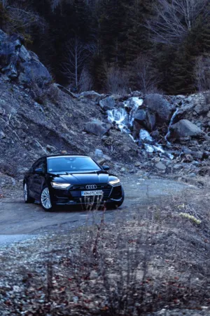 Audi In Nature