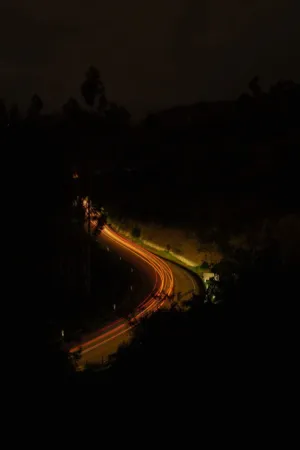 Twisting Night Road