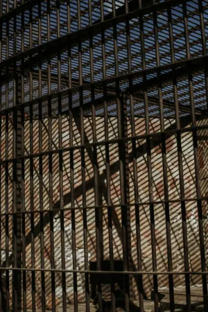 Rustic Cage