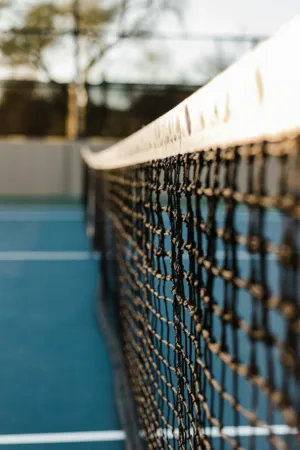 Tennis Court Net