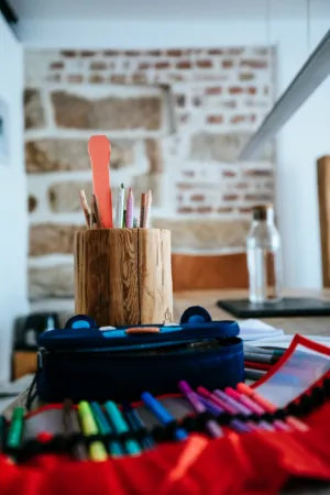 Creative Desk Organizer