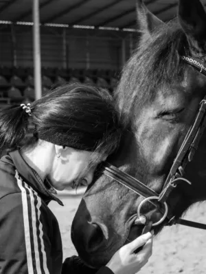 Horse And Rider Connection