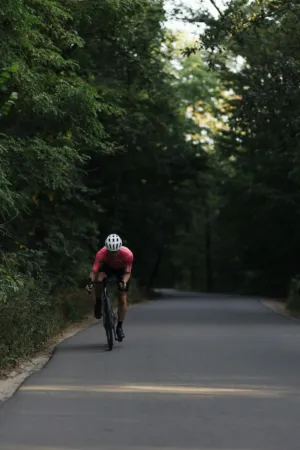 Cycling In The Woods
