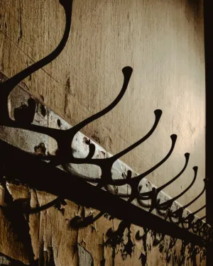 Rusty Hooks On Weathered Wall