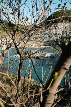 Nature Landscape