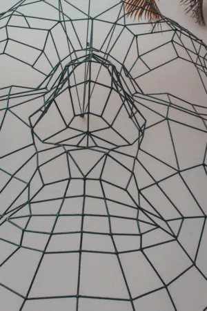 Geometric Structure