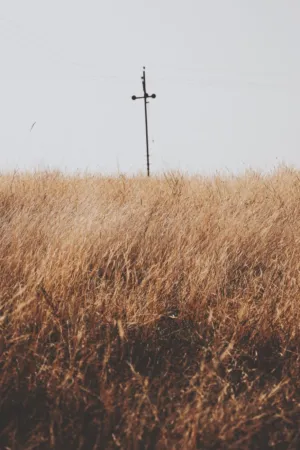 Lonely Telegraph Pole