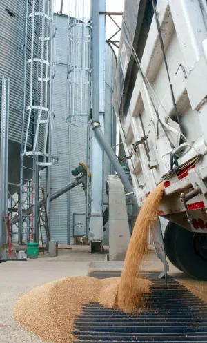 Grain Loading
