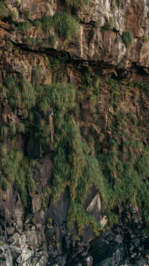 Rocky Cliffside With Greenery