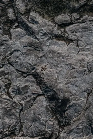 Rock Surface
