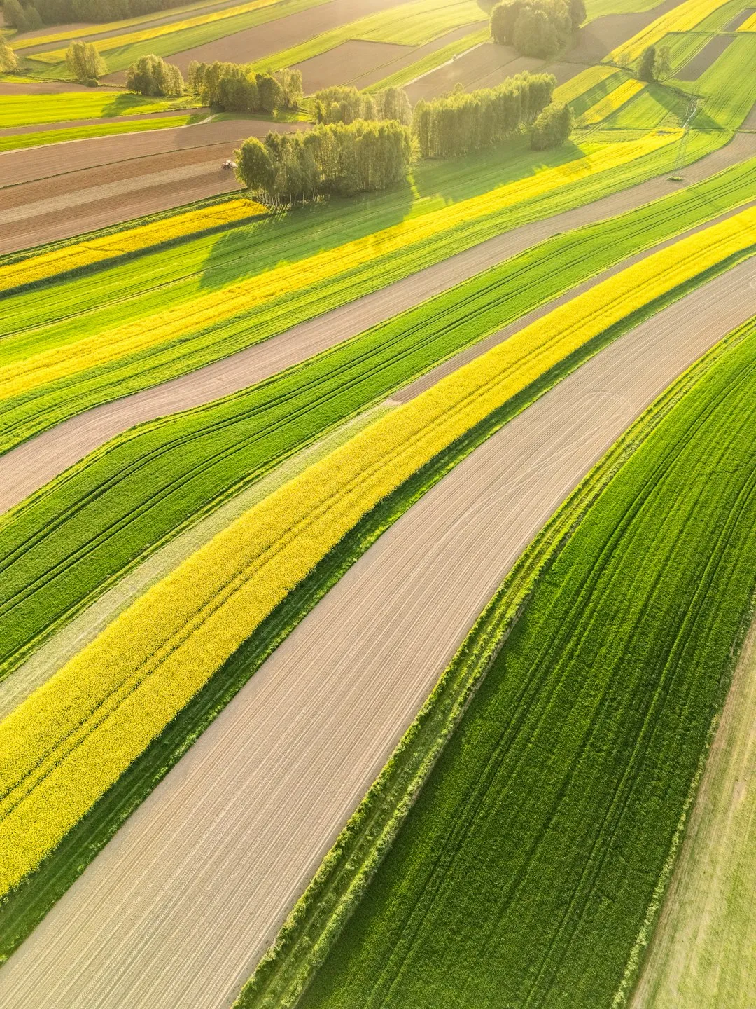 Aerial View Of Agricultural Fields