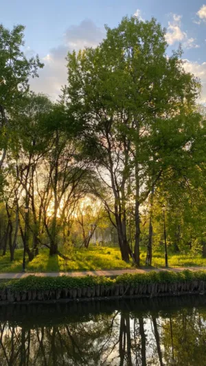 Sunset In The Park