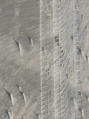 Tire Tracks On Sand