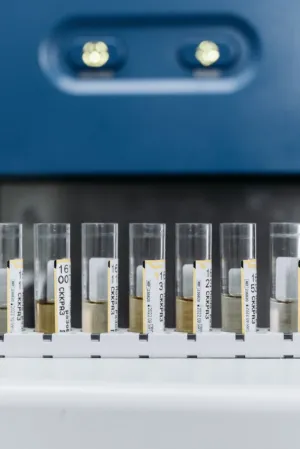 Test Tubes In A Rack
