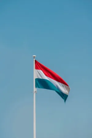Lithuanian Flag