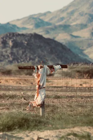 Desert Cross