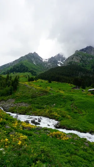 Mountain Landscape