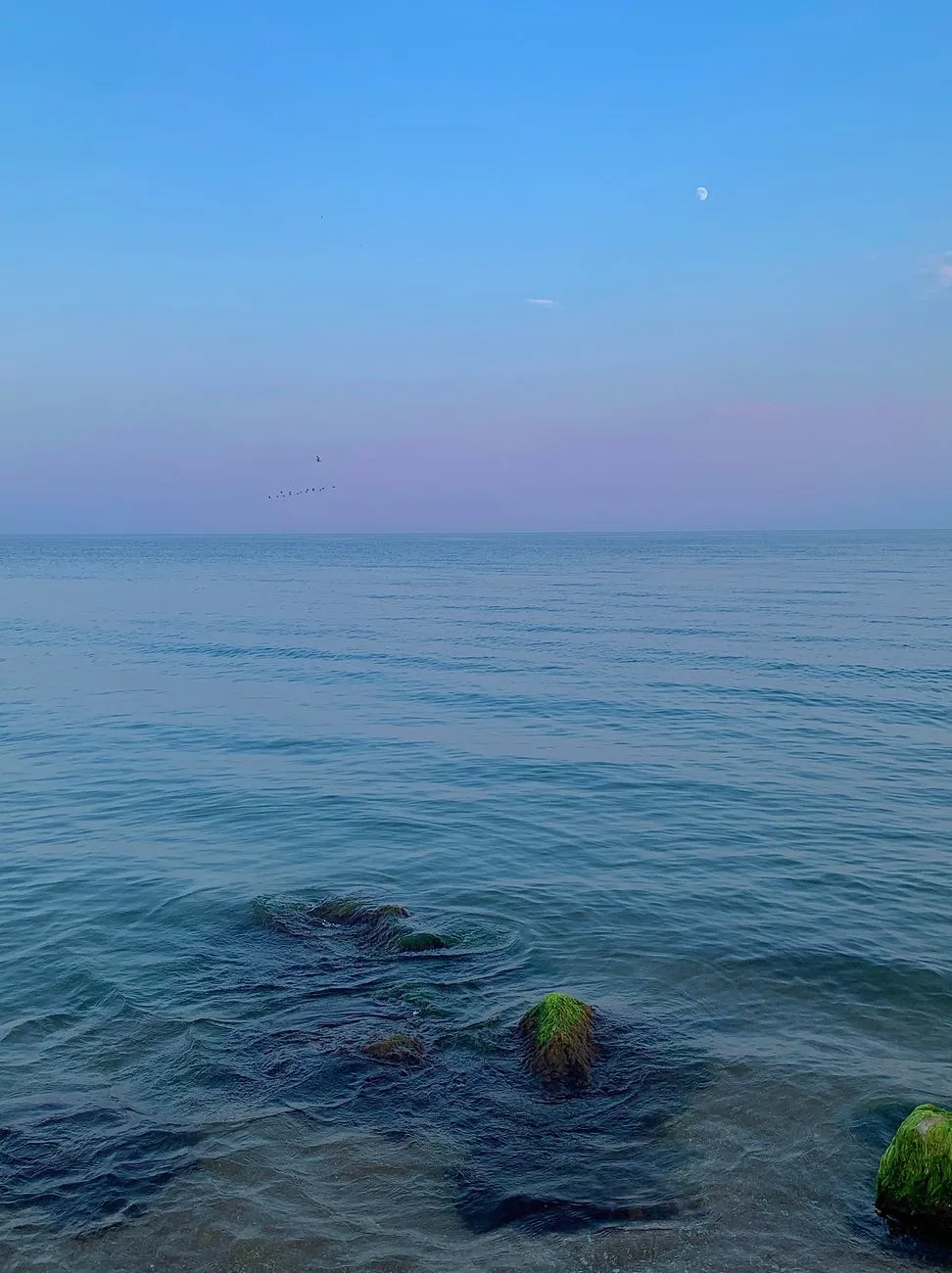 Moonlit Ocean