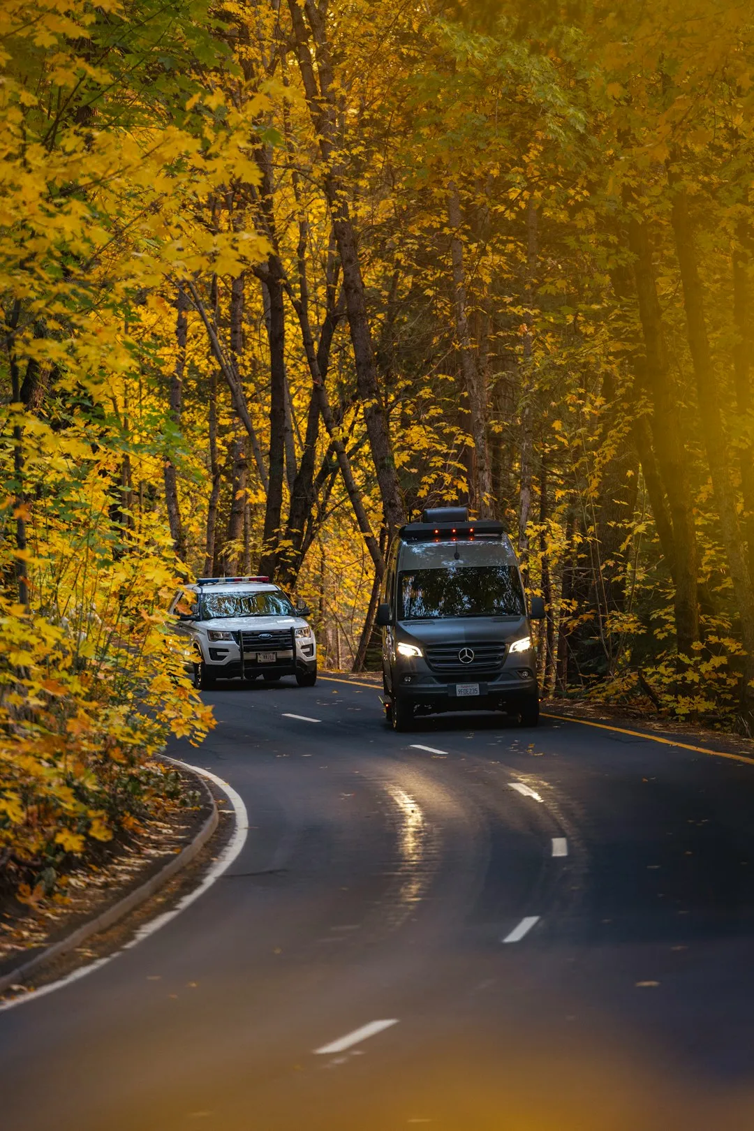 Autumn Drive