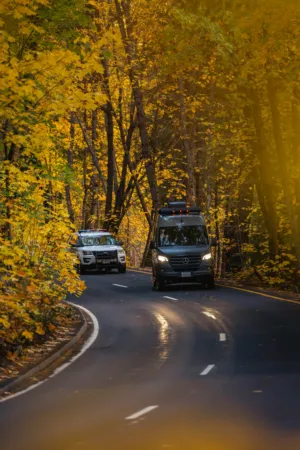 Autumn Drive