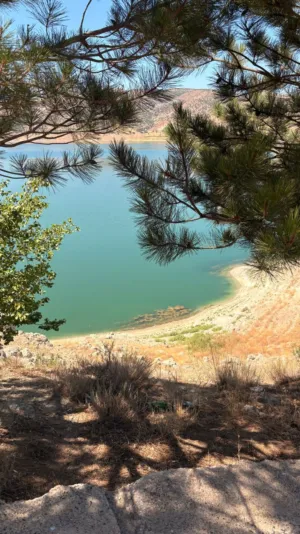 Lakeside View