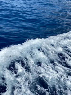 Ocean Waves