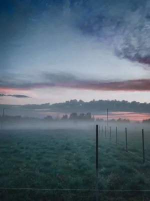 Misty Field At Dusk