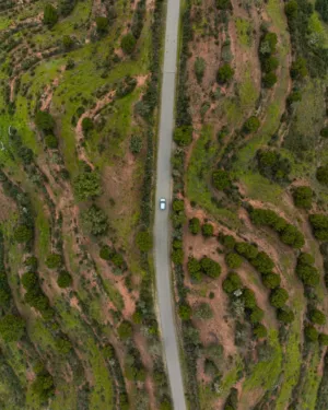 Road Through Green Hills