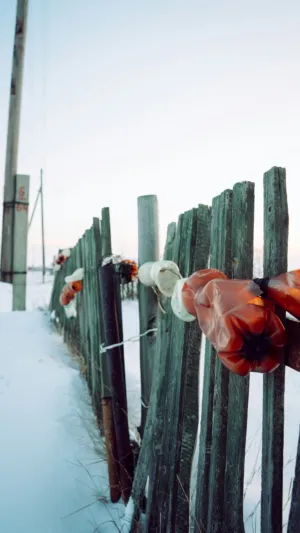 Winter Fence With Plastic Bags