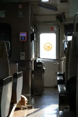 Train Interior