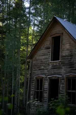 Abandoned Cabin In The Woods