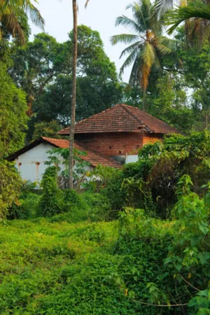Traditional Indian House
