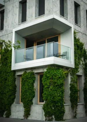 Modern Balcony With Greenery