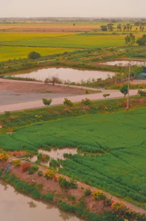 Rural Landscape
