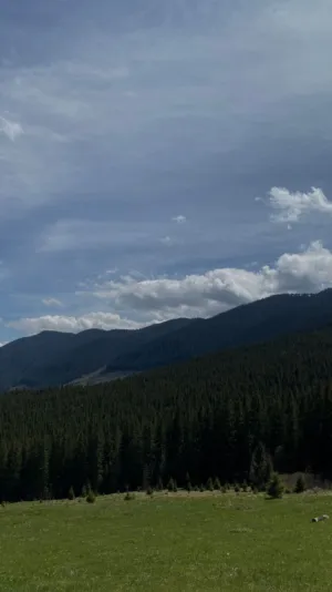 Mountain Landscape