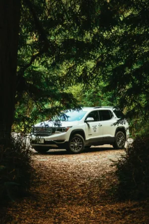 White Suv In The Woods