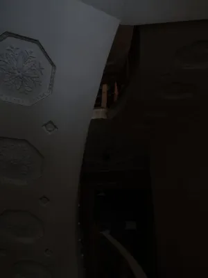 Dark Staircase With Decorative Ceiling