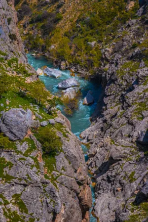 Rivulet In The Canyon