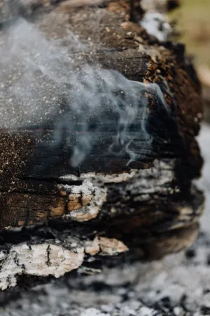 Charred Wood