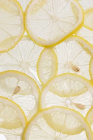 Lemon Slices