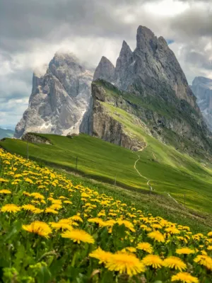 Alpine Landscape