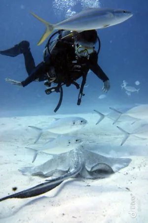 Underwater Adventure