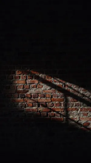 Brick Wall With Light And Shadow