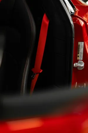 Red Seatbelt