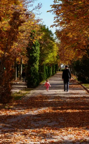 Autumn Walk