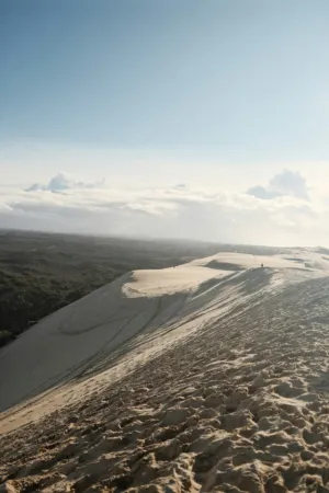 Sand Dunes