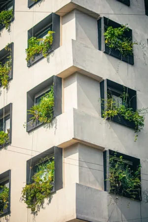 Green Balconies On Modern Building