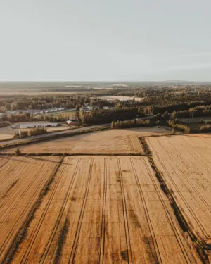 Aerial View Of A Harvested Field